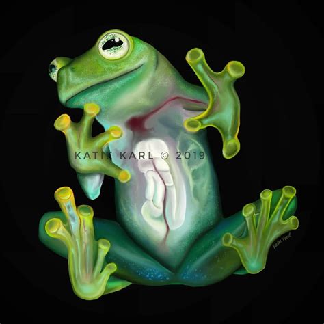 Katie Karl on Instagram: “My latest digital art piece, a glass frog! These amazing little ...