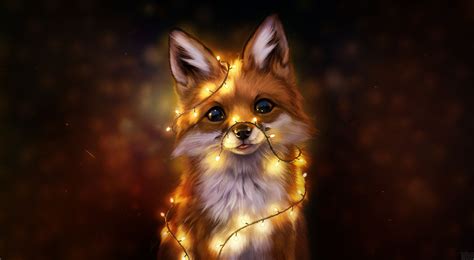 Orange Fox Wallpapers - Wallpaper Cave