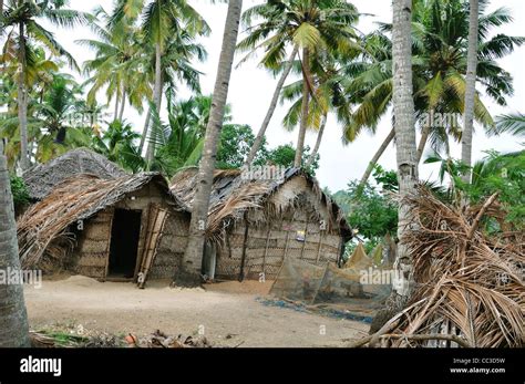 Kerala Village Stock Photo, Royalty Free Image: 41872821 - Alamy