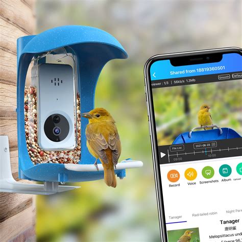 BirdDock Smart Bird Feeder with Camera WiFi APP Install