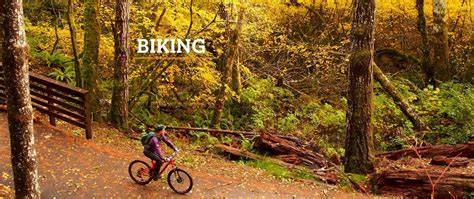 Bike Trails & Biking in Port Angeles - Visit Port Angeles WA