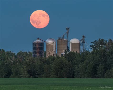 See Captivating Photographs of the Rare Strawberry Moon During the ...