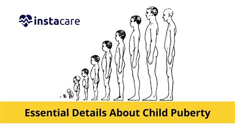 Stages Of Puberty In Girls Chart