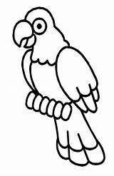 Parrot Coloring Pages Printable Web Beautiful parrot coloring  sketch template