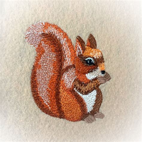 Squirrel Machine Embroidery Design Animal Embroidery | Etsy