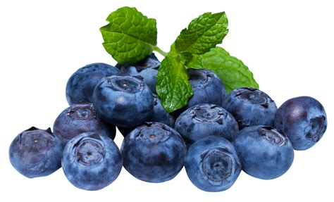 Ripe Blueberries PNG | PNG Play