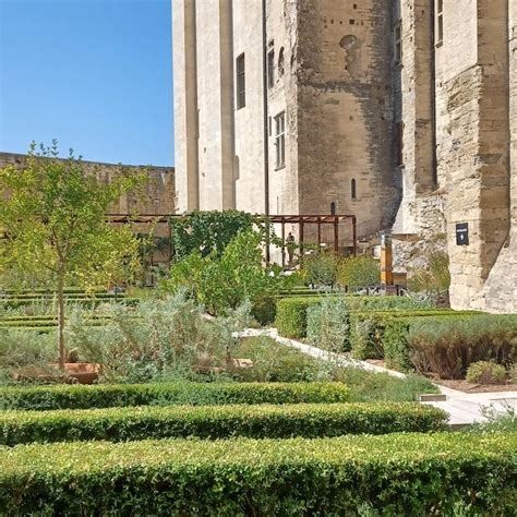 Palais des Papes tickets | Avignon