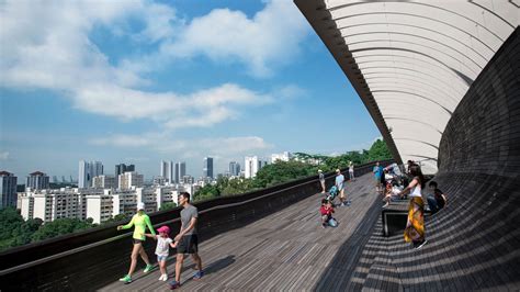 Take a Walk Across Henderson Waves Bridge - Visit Singapore Official Site