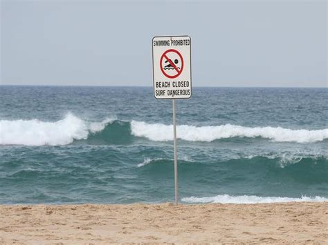 Shark attack: Port Macquarie construction worker Dale Carr in surgery again | Daily Telegraph