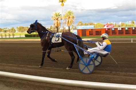 Tom and Donna Full-timer RV Blog: Cal Expo Harness Racing