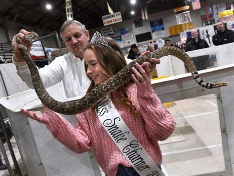 Sweetwater Rattlesnake Roundup this week, snake advocates push change