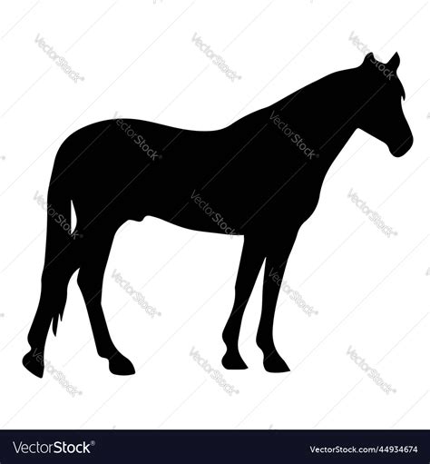 Horse logo Royalty Free Vector Image - VectorStock