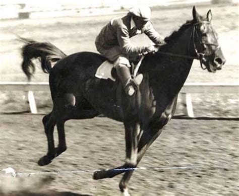 BAY MEADOWS ON LAST LEGS / Historic San Mateo horse track forced to close this year by state ...