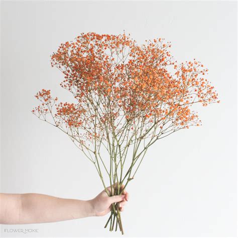 Orange Flowers | Bulk Fresh Flowers for DIY Brides — Flower Moxie