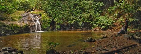 Danum Valley Conservation Area Editorial Photography - Image of lowland, square: 157544642