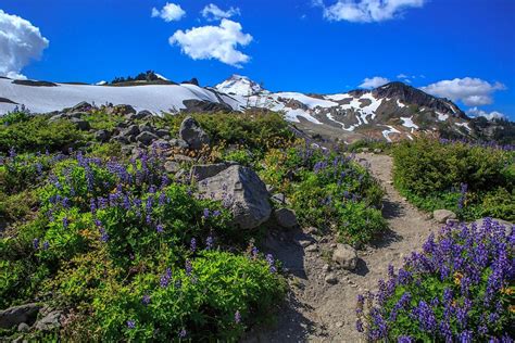 10 Beautiful Hikes In Washington State To Do In The Fall