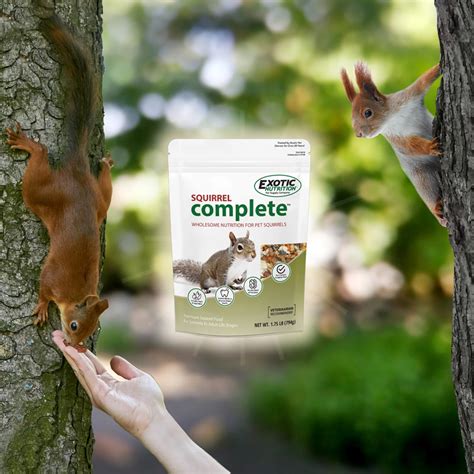 Squirrel Complete food - pets cart