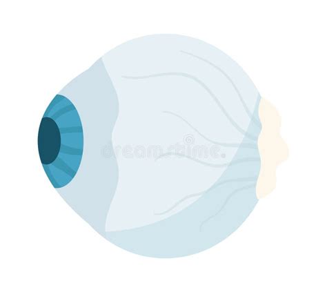 Anatomy of Human Eye stock vector. Illustration of science - 276070099