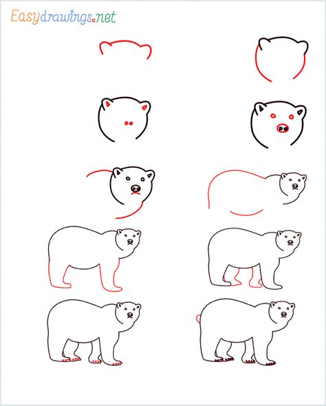 How to Draw a brown bear step by step - [10 Easy Phase]