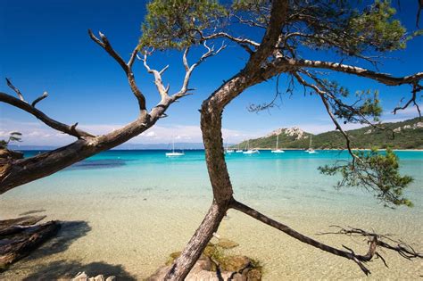 Porquerolles Foto & Bild | europe, france, provence-alpes-côte d'azur ...