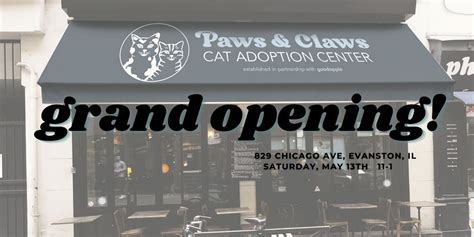 Paws and Claws Cat Adoption Center Grand Opening, 829 Chicago Ave, Evanston, May 13 2023 ...