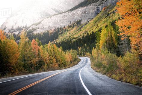 Treelined road through Canadian rockies, Alberta, Canada - Stock Photo - Dissolve