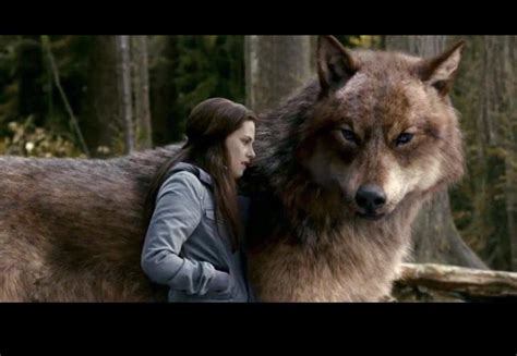 A reminder of the direwolves we could have had on the show. Sadness ...