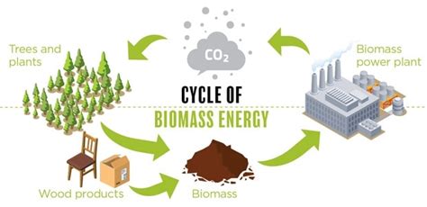 Green Technology in 2022: Examples, Benefits, Goals and Future