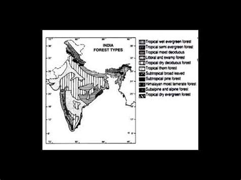 Phytogeographical Regions of India Lecture-1 - YouTube