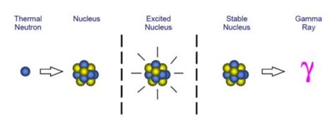 All About Neutron Activation Analysis (NAA): What It Is & How it Works