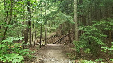 Trail to Indian Rock, near Cumberland Gap TN | Wilderness trail ...