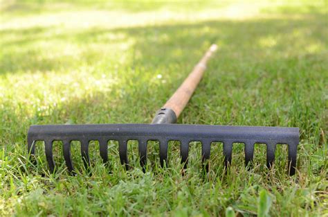 7 Best Gardening Tools You Should Own - The Brown Gardener