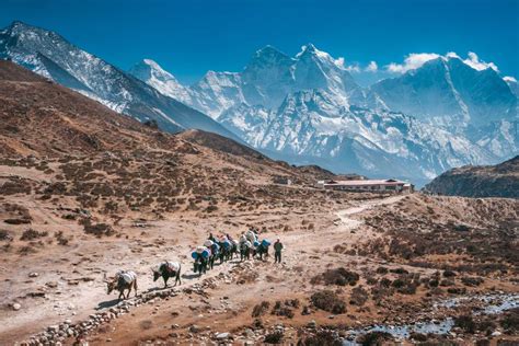 Everest Base Camp Trek – Ultimate Guide for 2023 – Americaribean