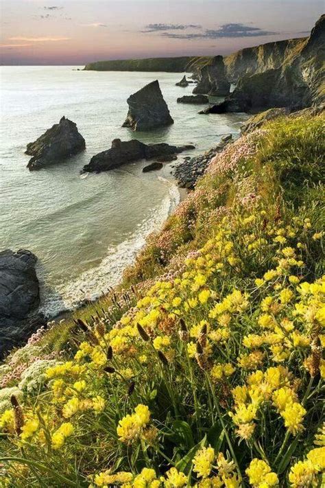 Cornwall | Scenery, Beautiful nature, Nature photography