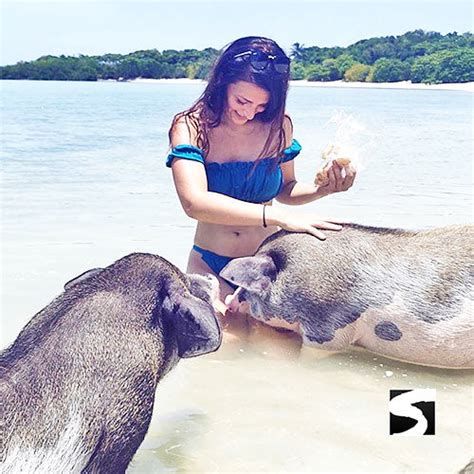 Pig Island Snorkeling Koh Mudsum & Koh Tan Speed Boat Economy Tour – kohsamui.tours