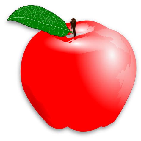 Apple clipart pdf, Apple pdf Transparent FREE for download on WebStockReview 2024