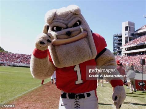 Ole Miss Mascot Photos and Premium High Res Pictures - Getty Images
