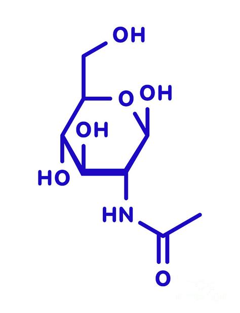 N-acetylglucosamine Food Supplement Molecule Photograph by Molekuul ...