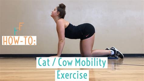 Cat / Cow Warm-up & Cool Down Mobility Exercise - YouTube