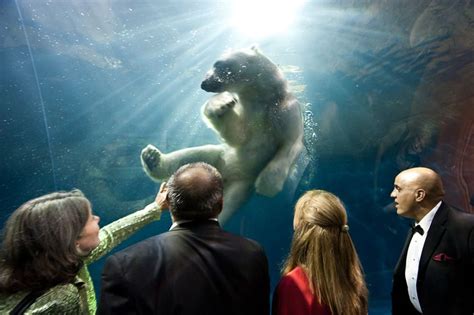 Pittsburgh Zoo Gala - produced by Tolo Events | Pittsburgh zoo, Zoo wedding, Lgbtq wedding