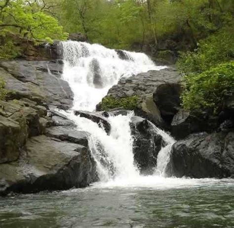 Tungareshwar Waterfall, Thane (2024) - Images, Timings | Holidify