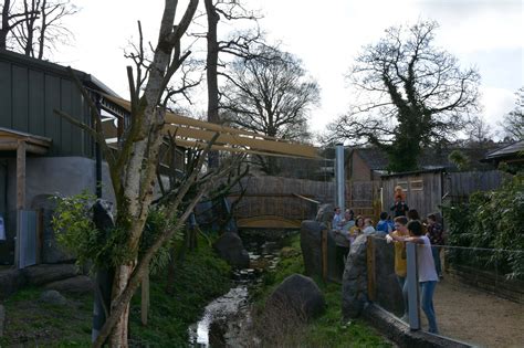 LONGLEAT Koala Habitat - Nautilus