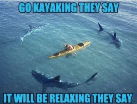 Shark Week Memes | Fun