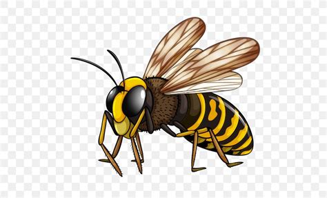 Hornet Vector Graphics Wasp Clip Art Royalty-free, PNG, 550x498px ...