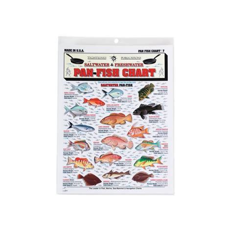 Freshwater and Saltwater Pan-Fish Chart #7 | Fish chart, Blue catfish, Channel catfish