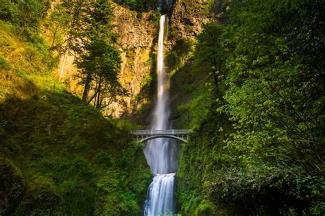 12 Best Hikes in Oregon That will Blow Your Mind - RelaxTravel