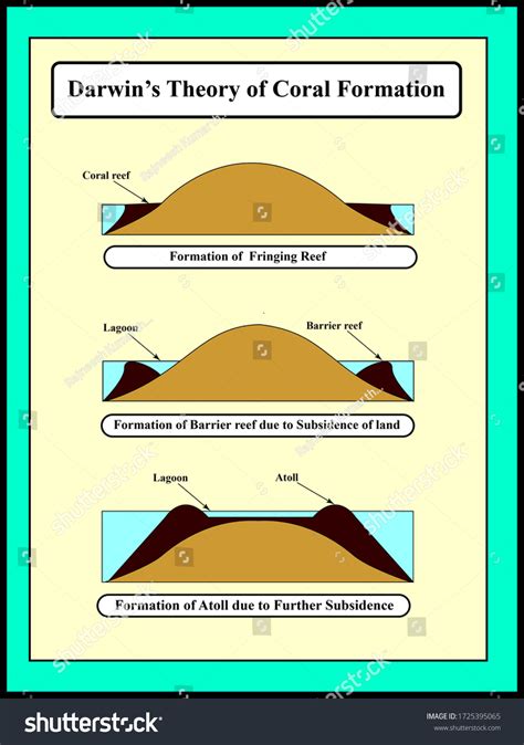 Darwin Theory Coral Formation Stock Illustration 1725395065 | Shutterstock