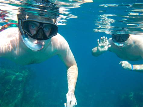 Snorkel Bermuda - All You Need to Know BEFORE You Go - Updated 2021 (Caribbean) - Tripadvisor