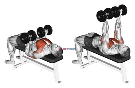 Dumbbell Reverse Bench Press - Home Gym Review