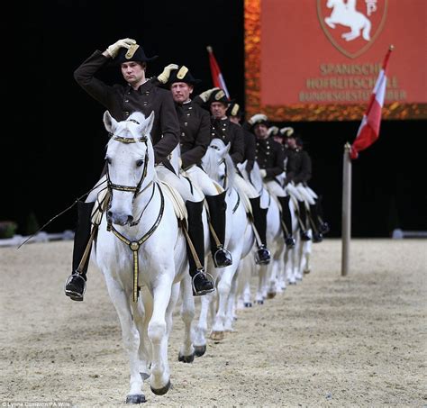 Dancing stallion leaps into the air as world renowned Spanish riding ...